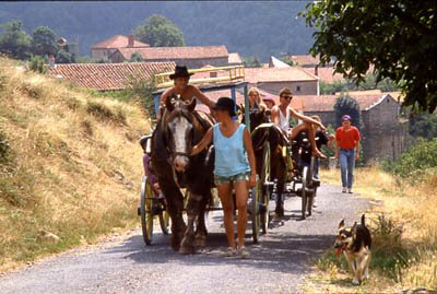 Rando à cheval en Val d'Allier