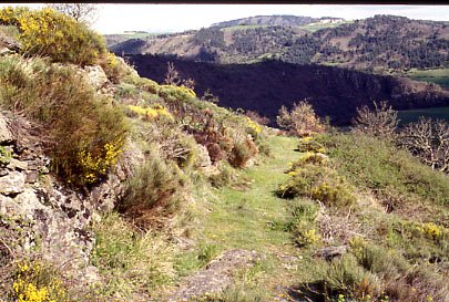 Lande de St Ilpize